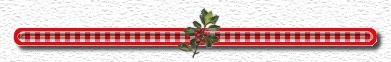 Christmas Divider